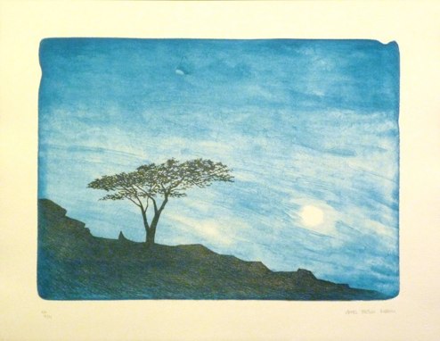 El pino de cielo azul
A. Pascual